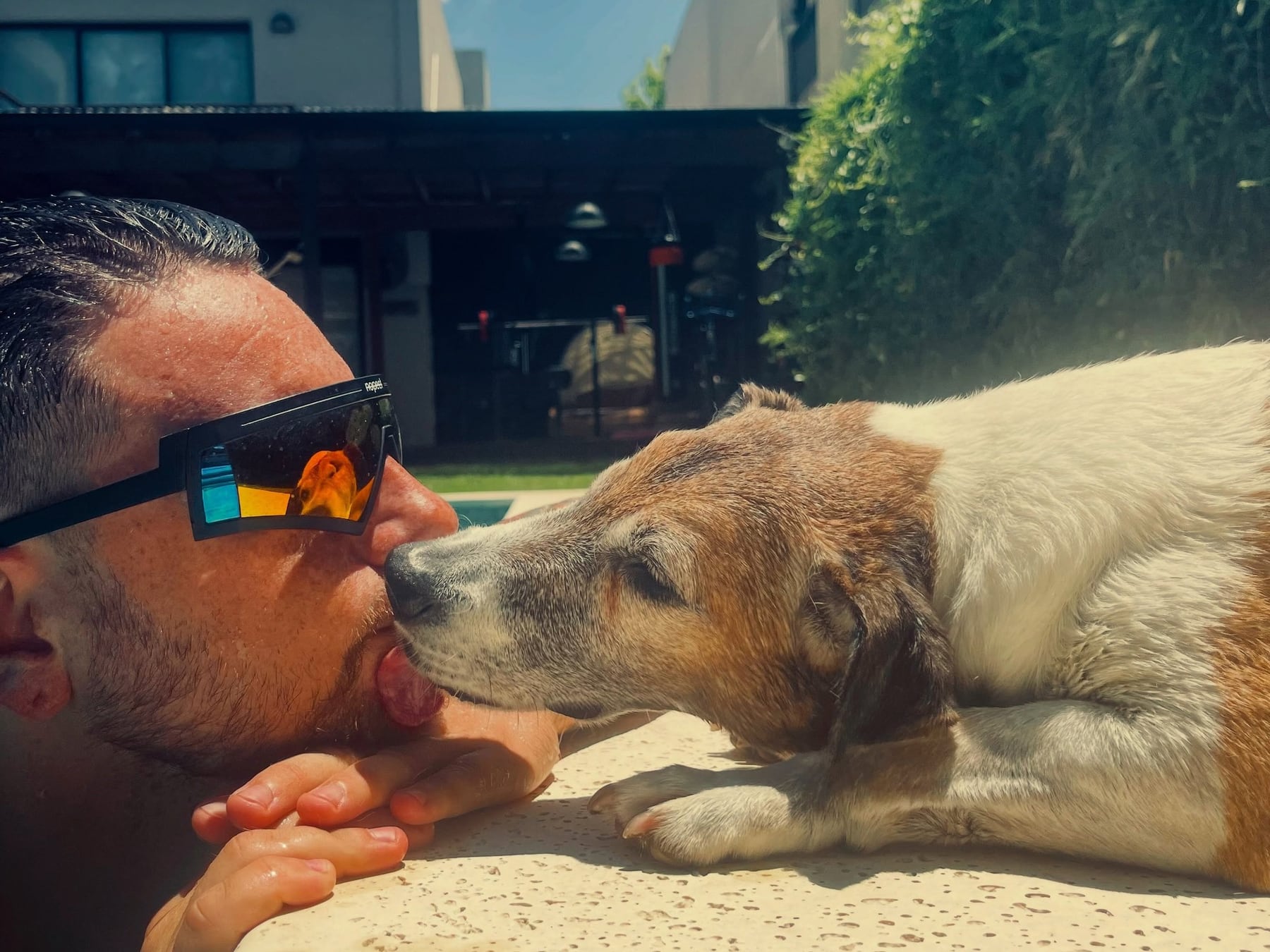 El duelo por la muerte de una mascota es real y pocas veces acompañado