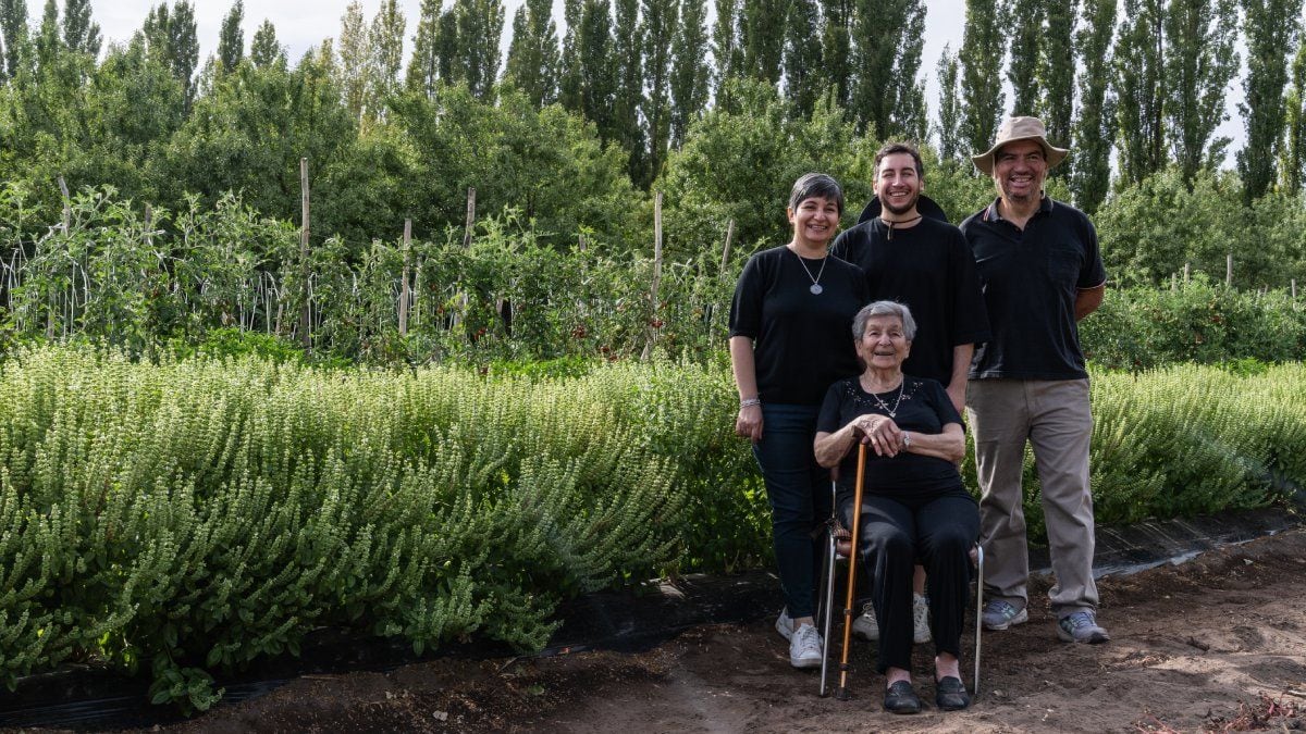 La receta de la nonna que sobrevivió en un papel y hoy viaja por la Argentina en 1.500 botellas