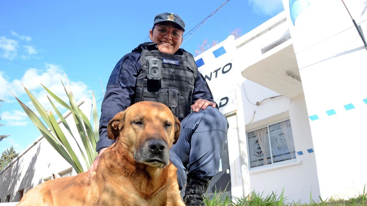 Puchero, el perro que adoptó a la Policía de Neuquén y se ganó un chaleco con leyenda