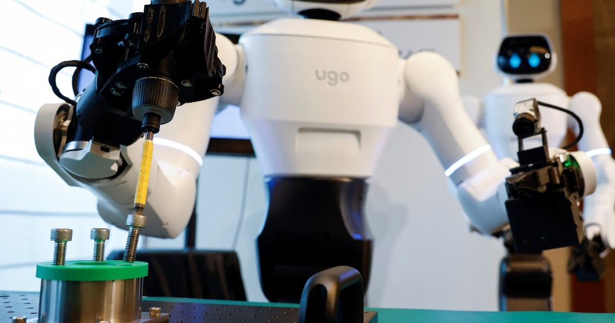 Cuando el hospital le abre la puerta a un robot: la experiencia japonesa que mira al mundo del trabajo