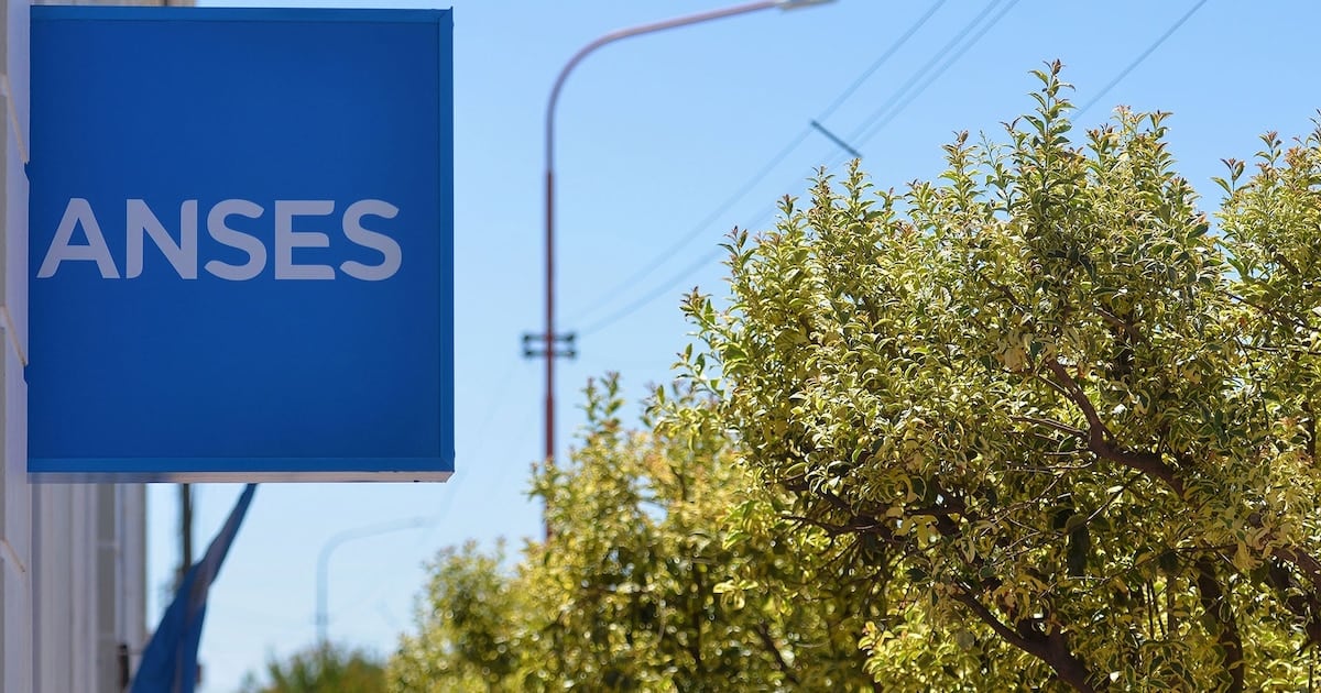 Calendario de ANSES para octubre: cómo quedaron las fechas de cobro de los DNI terminados en 2