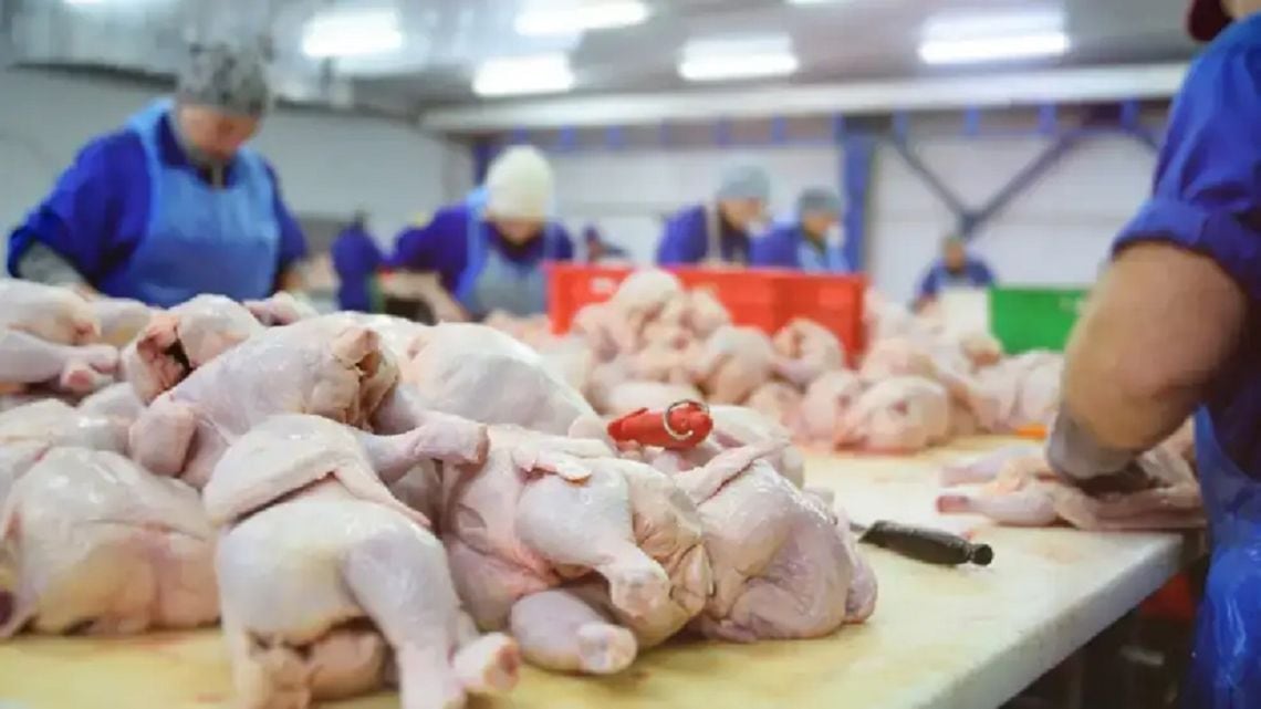 La carne aviaria desbancó a la bovina: el bolsillo de los argentinos redefinió la mesa