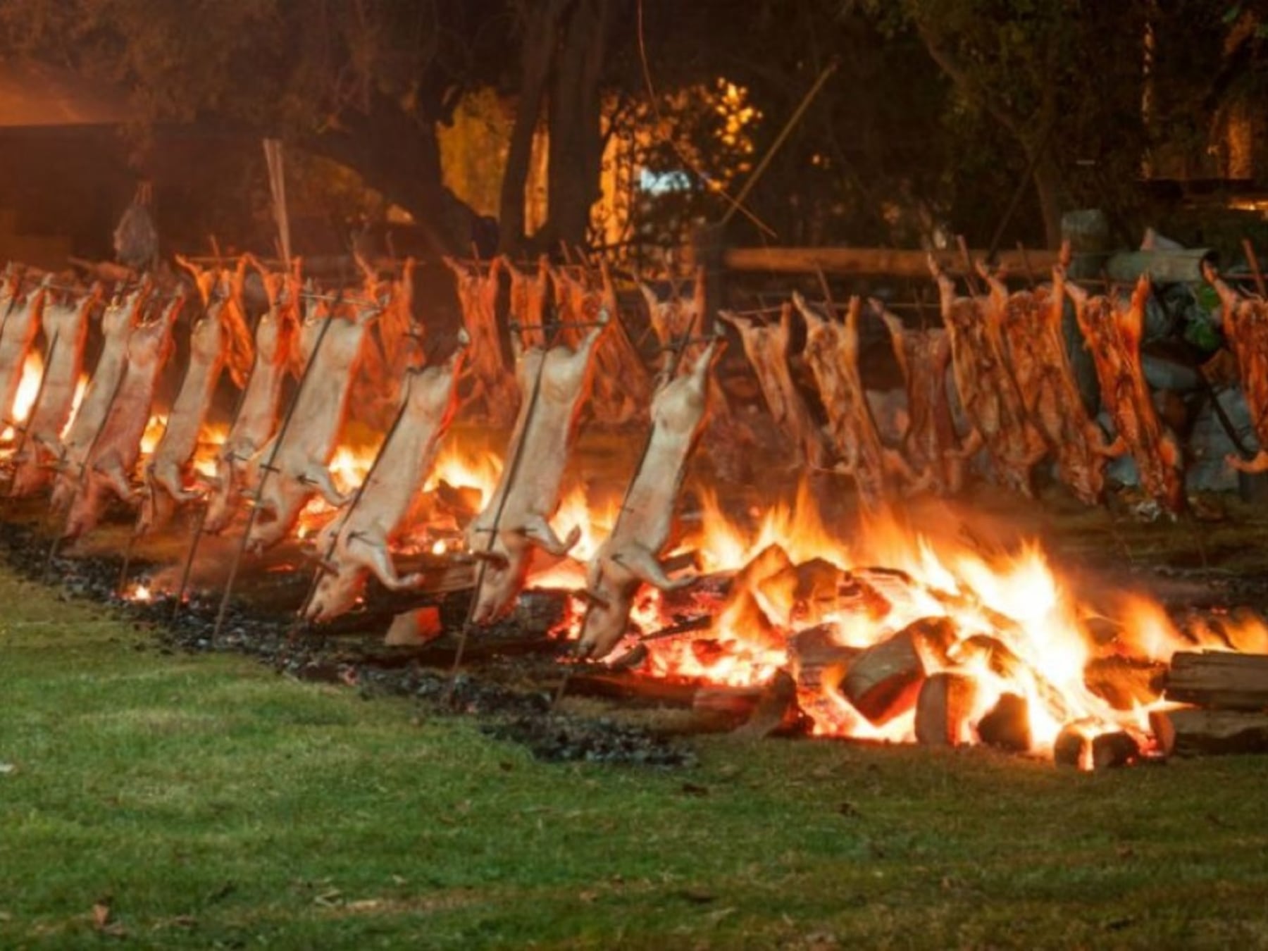 Cinco fiestas provinciales y un fin de semana largo para recorrer Buenos Aires entre el 10 y el 12 de octubre