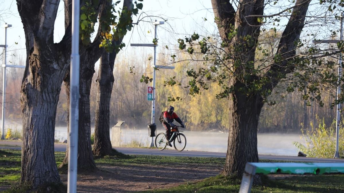 Neuquén transita un sábado frío y ventoso antes del repunte térmico del fin de semana
