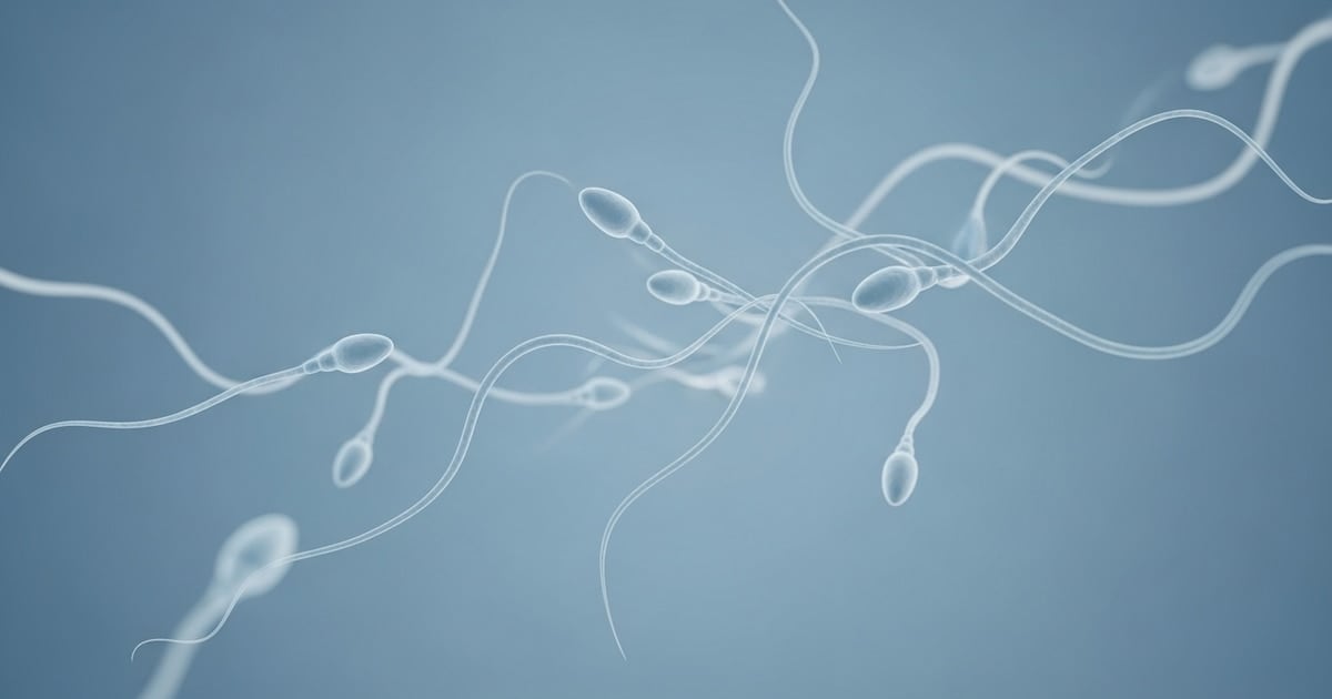 Una nueva puerta para la fertilidad masculina después del cáncer: el caso británico que enciende la esperanza