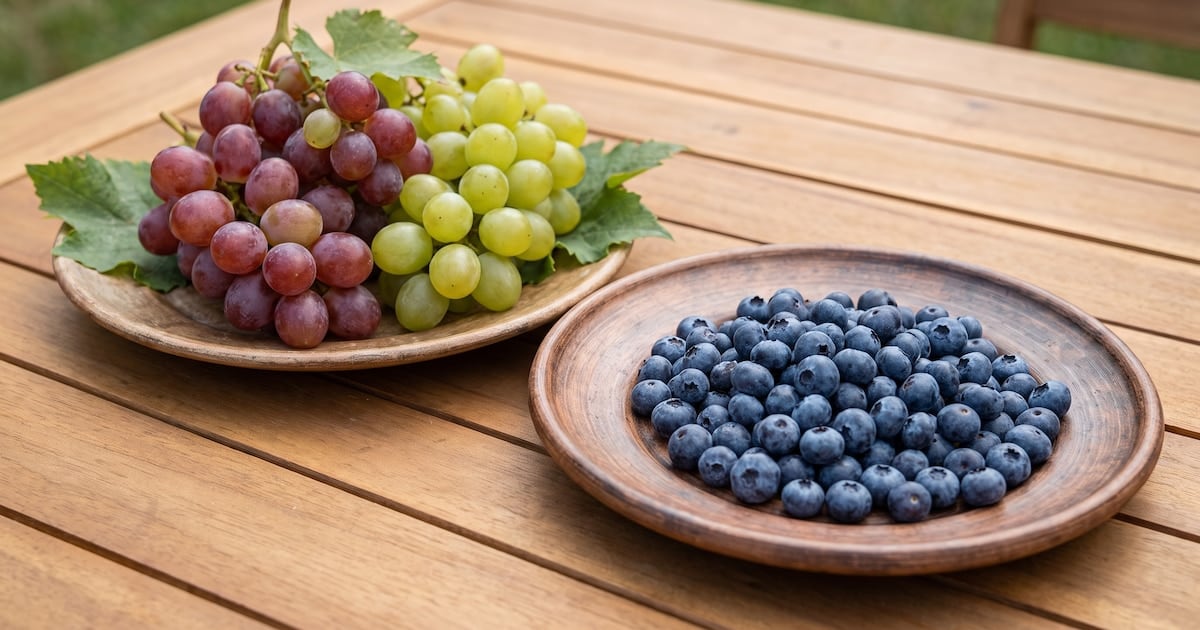 Arándanos o uvas: la fibra es la llave que decide cuánto sube la glucosa después de comerlas