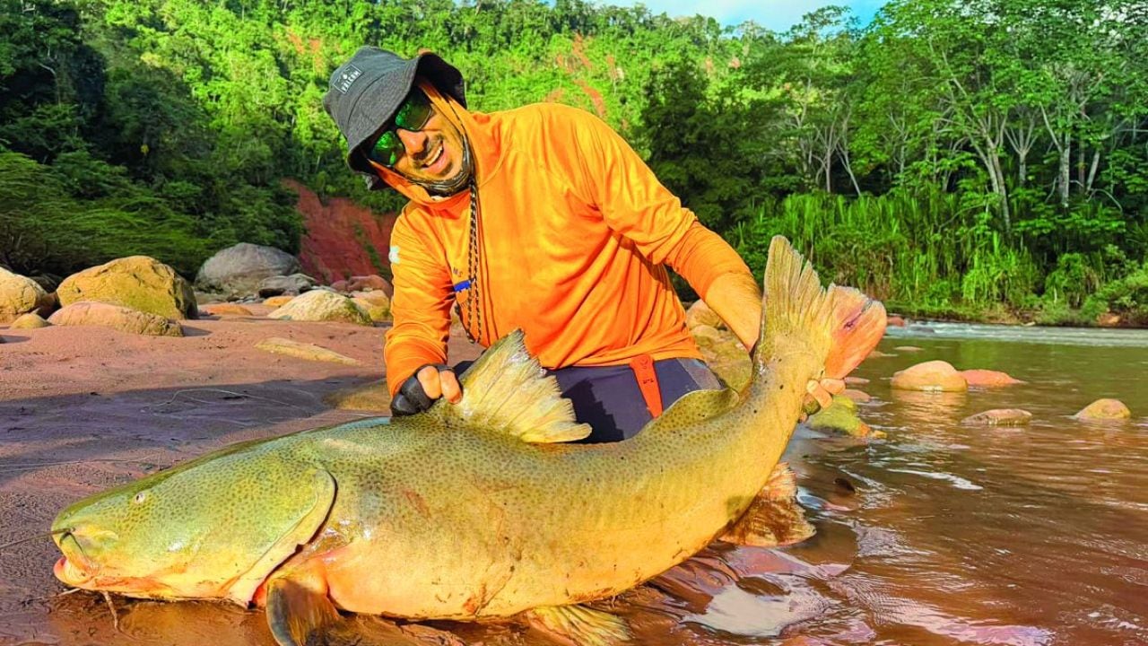 Pesca deportiva con devolución en la Amazonía boliviana: quince especies en un río de 350 kilómetros y piezas que rozan los 25 kilos