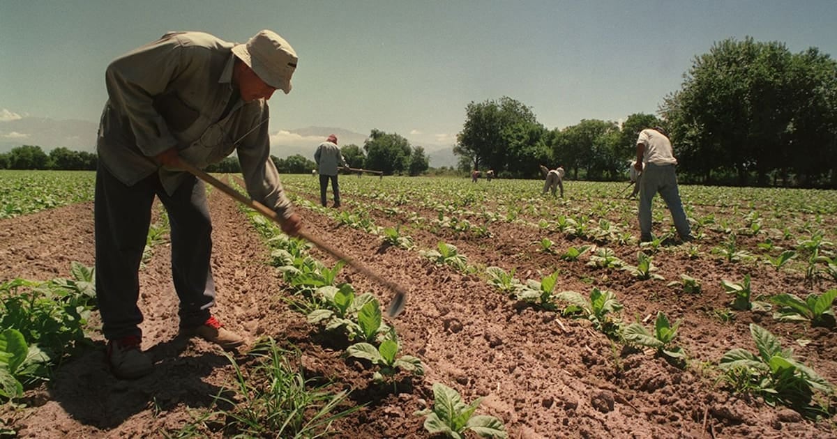 El campo volvió a blindar el piso de las asignaciones familiares para los temporarios: regirá hasta septiembre de 2027