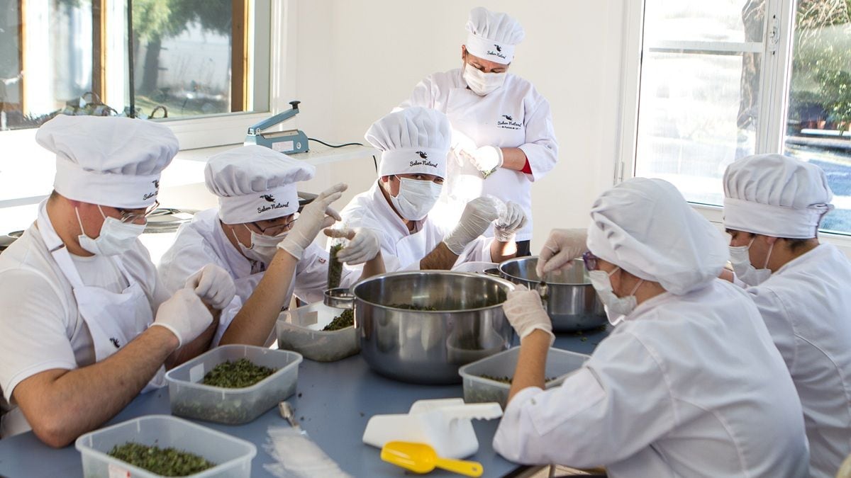 De una chacra patagónica a los premios del Reino Unido: las mermeladas que nacen del trabajo de jóvenes con discapacidad