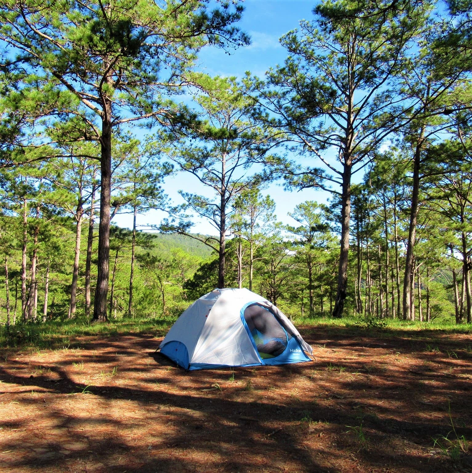 Huttopia desembarca en Mar Azul y abre su primer camping en América Latina el 4 de diciembre