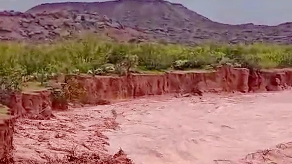 Río Neuquén: cómo verificar los caudales oficiales ante alertas por lluvias