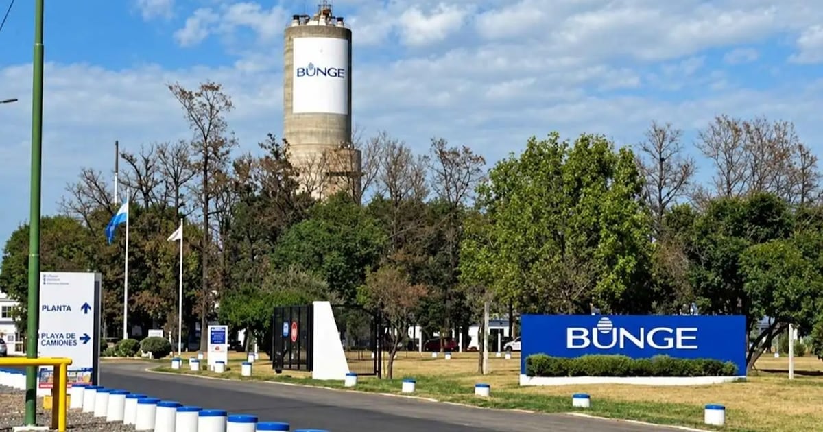 Campana: una empresa agroindustrial cierra su línea química y desvincula a 110 trabajadores