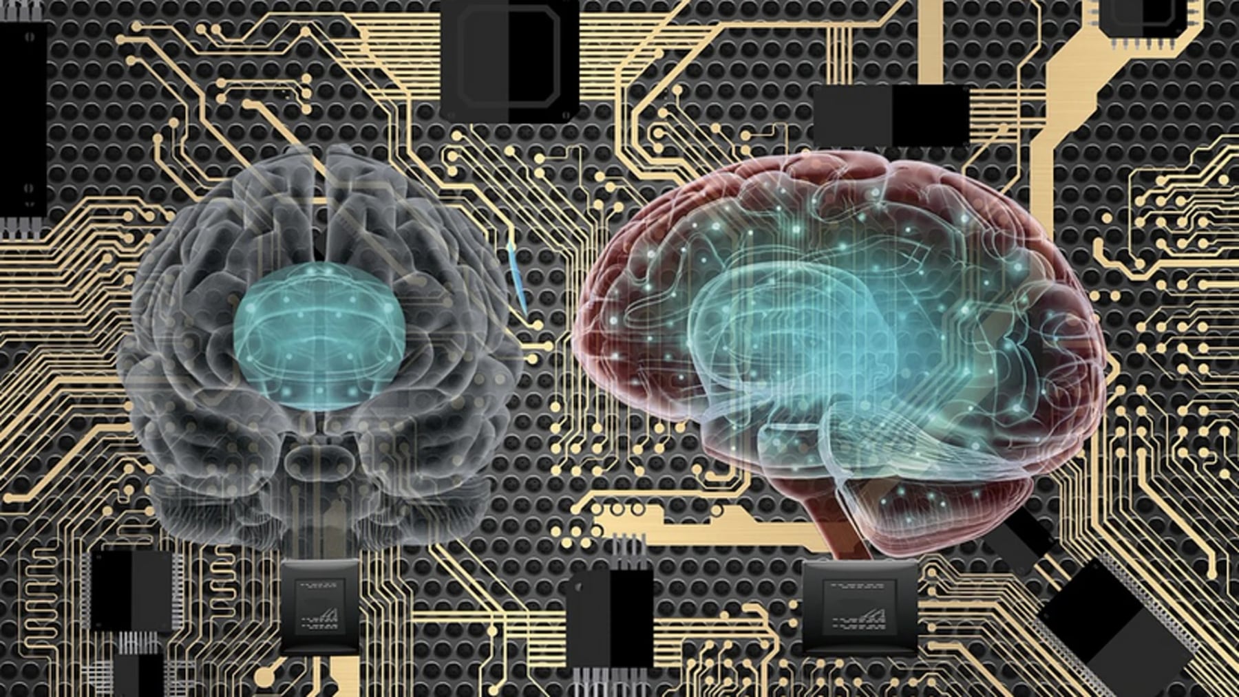 Memorias que engañan: qué dice la ciencia sobre su origen en el cerebro