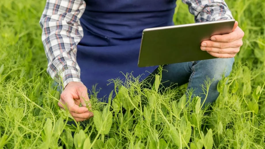 Científico Argentino Revoluciona la Agricultura con Tecnología de Precisión