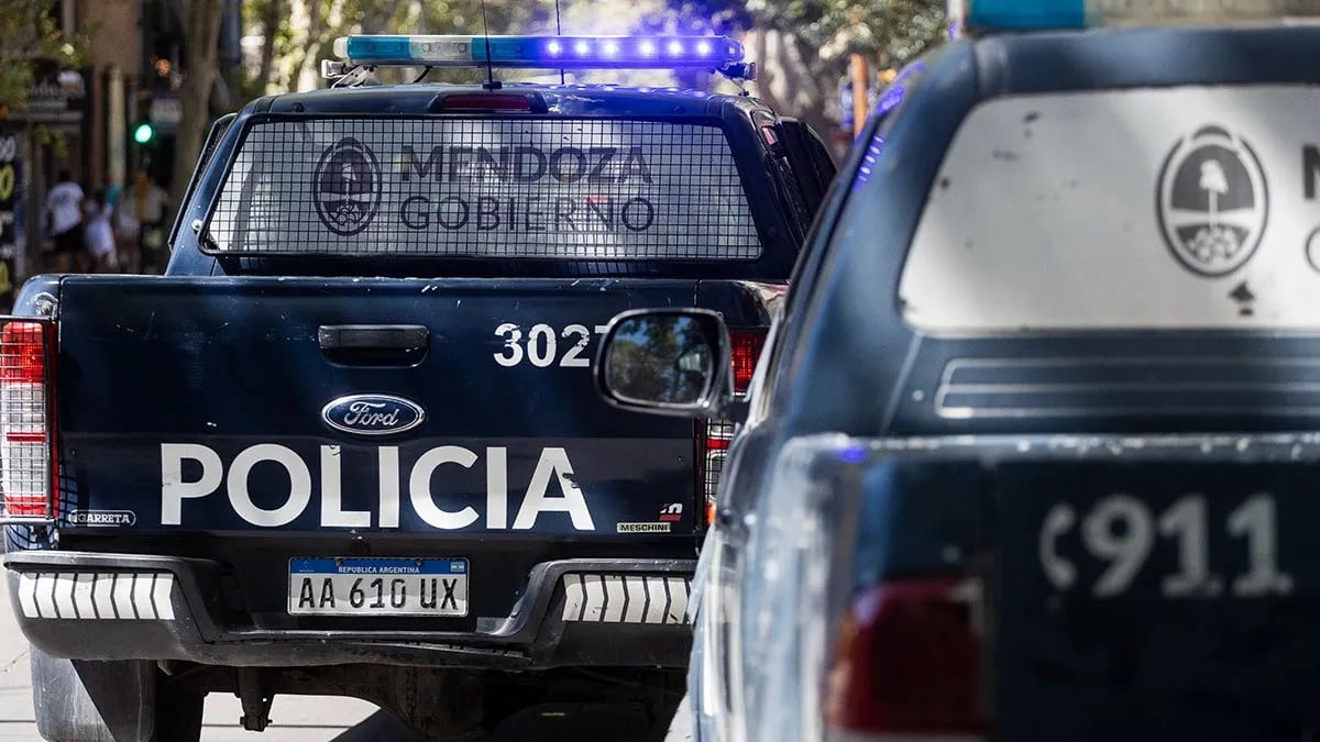 Robo millonario en Mendoza: lo atraparon a metros del hecho