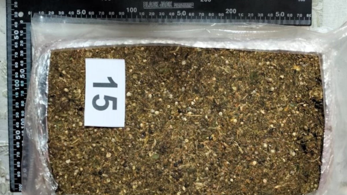 Llevaba 23 kilos de marihuana: irá a juicio un empleado judicial