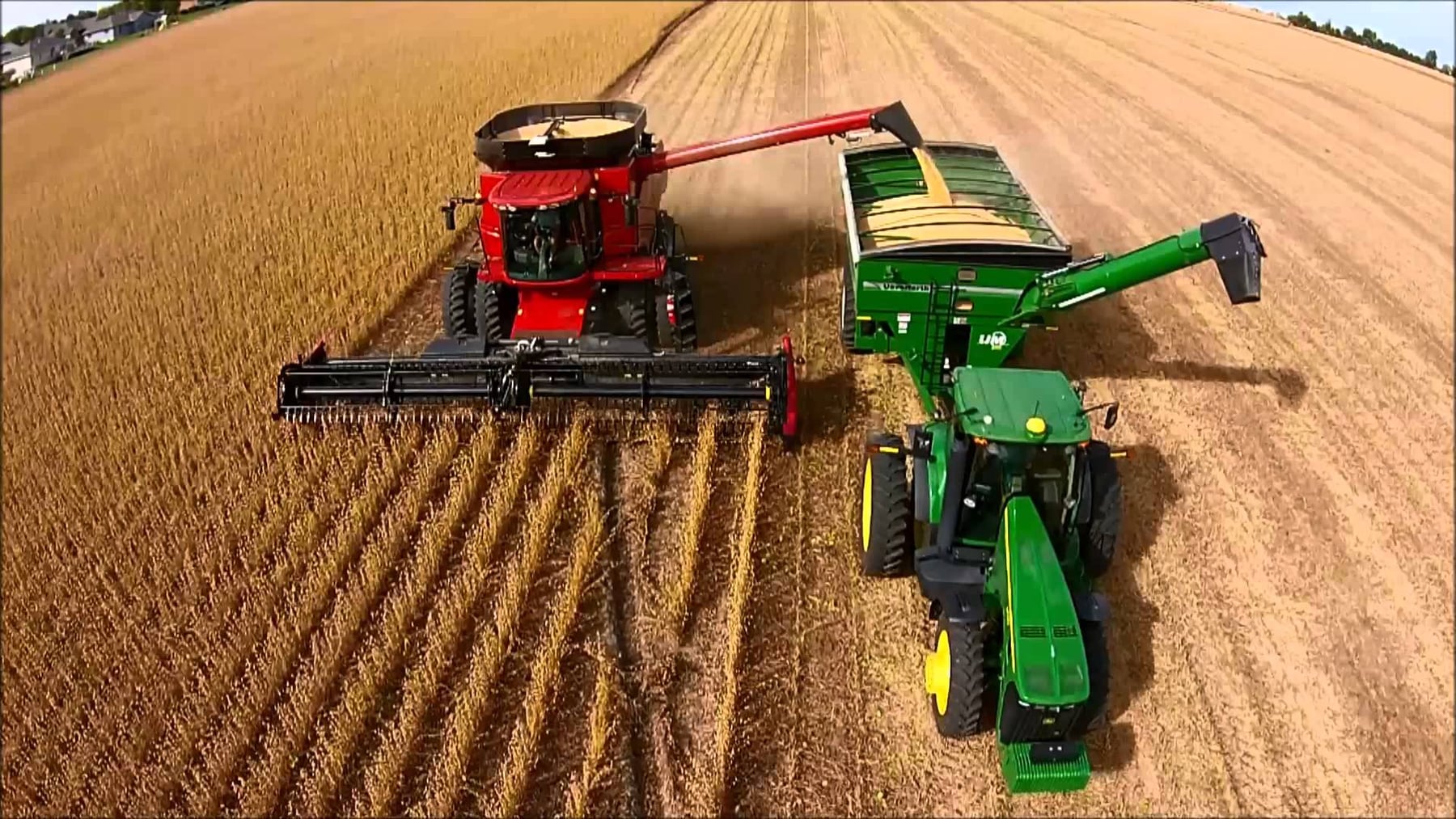 Éxodo sojero: 6.500 productores cambiaron de cultivo