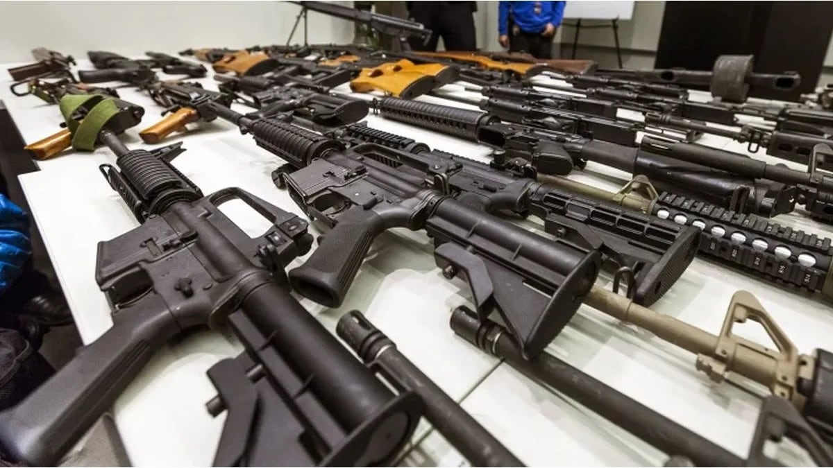 El Gobierno modificó el sistema de registro de armas en fuerzas federales