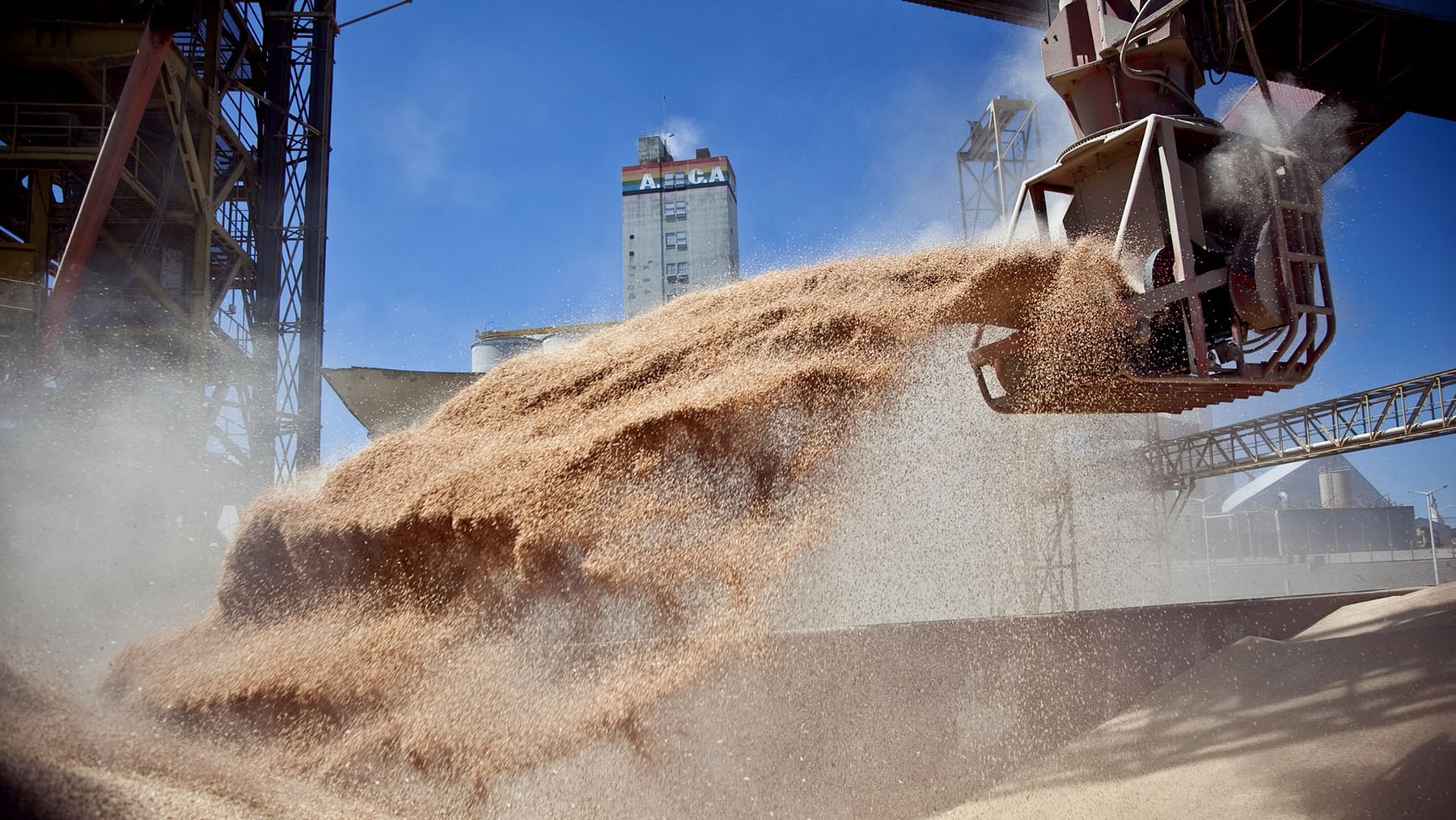 Cuántos dólares generará el agro en exportaciones en lo que resta del año
