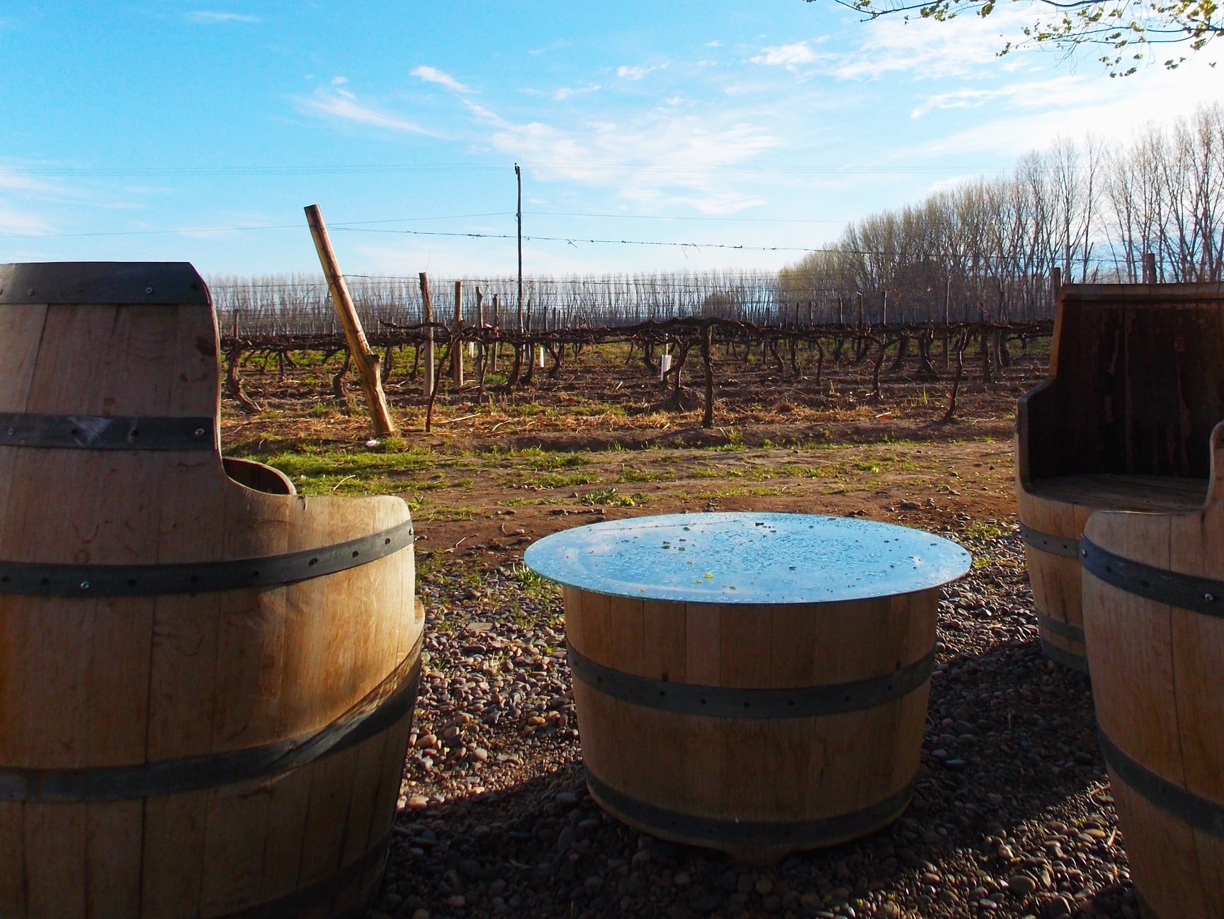 El enoturismo, la nueva apuesta económica de las bodegas rionegrinas