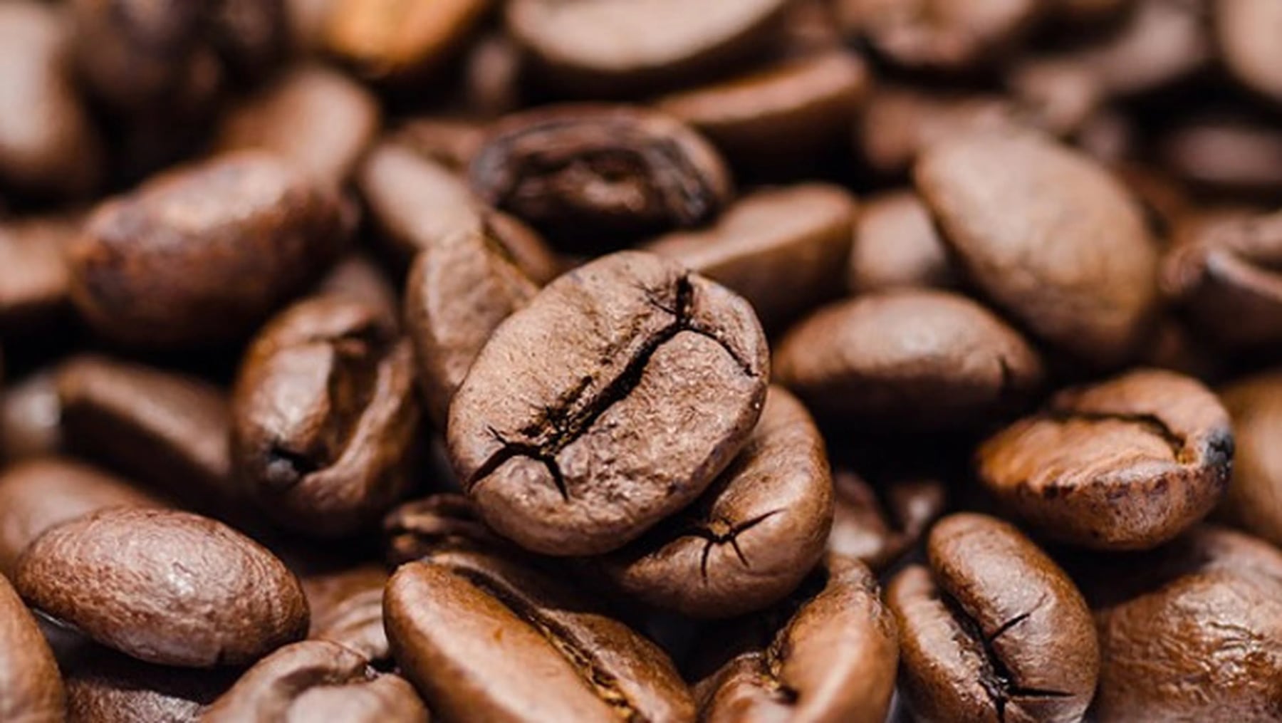 Cantidad diaria de café recomendada para aprovechar al máximo sus beneficios