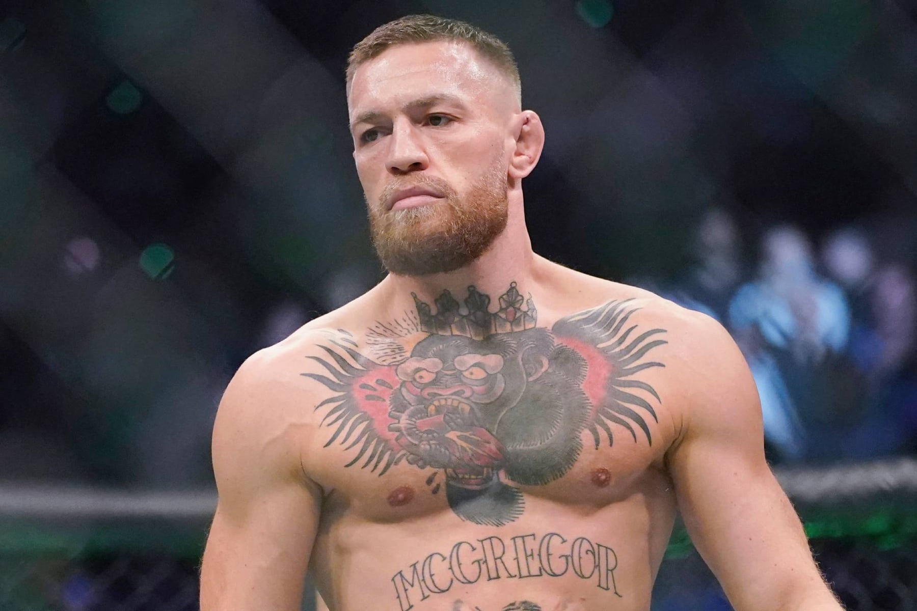Un exluchador de MMA le fracturó la mandíbula a un rival y Conor McGregror lo desafió en pleno ring