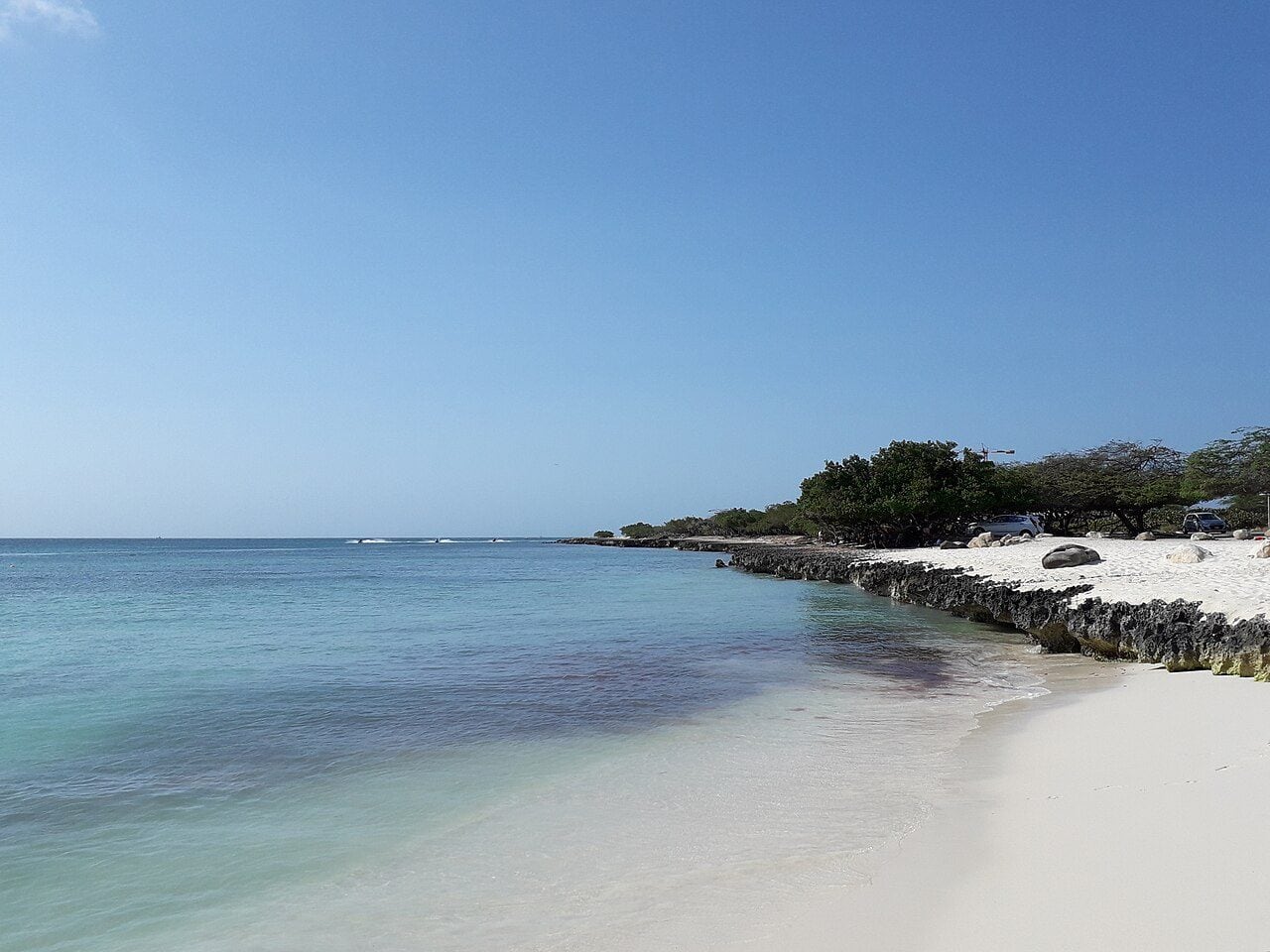 Aruba: que hacer, donde comer y cuanto sale en la isla caribeña favorita de los argentinos