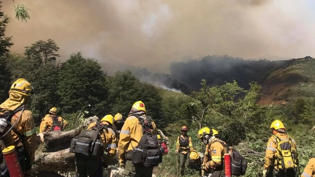 Fuego en el Parque Nacional Lanín: más de 2.600 hectáreas arrasadas y sospechas de intencionalidad