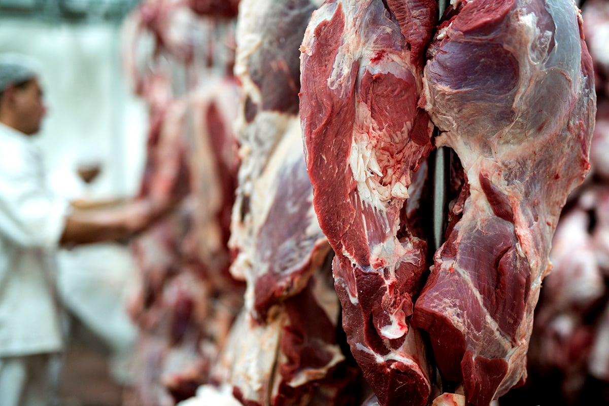El adelantado ajuste en la hacienda en pie ya impacta en el precio de la carne