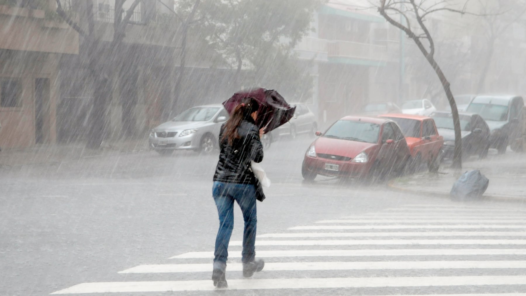 Alerta amarilla por fuertes tormentas en 7 provincias: cuáles son