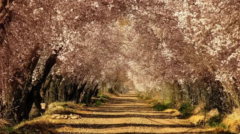 Vacaciones en Mendoza 2025: el pueblito mágico que pocos conocen y tiene influencias europeas