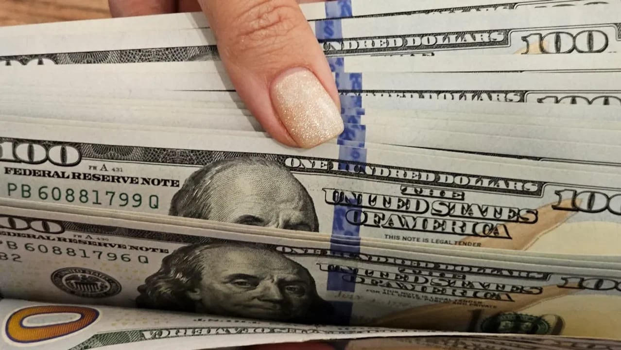 Dólar: más de 30 consultoras hicieron sus pronósticos de precio para 2025