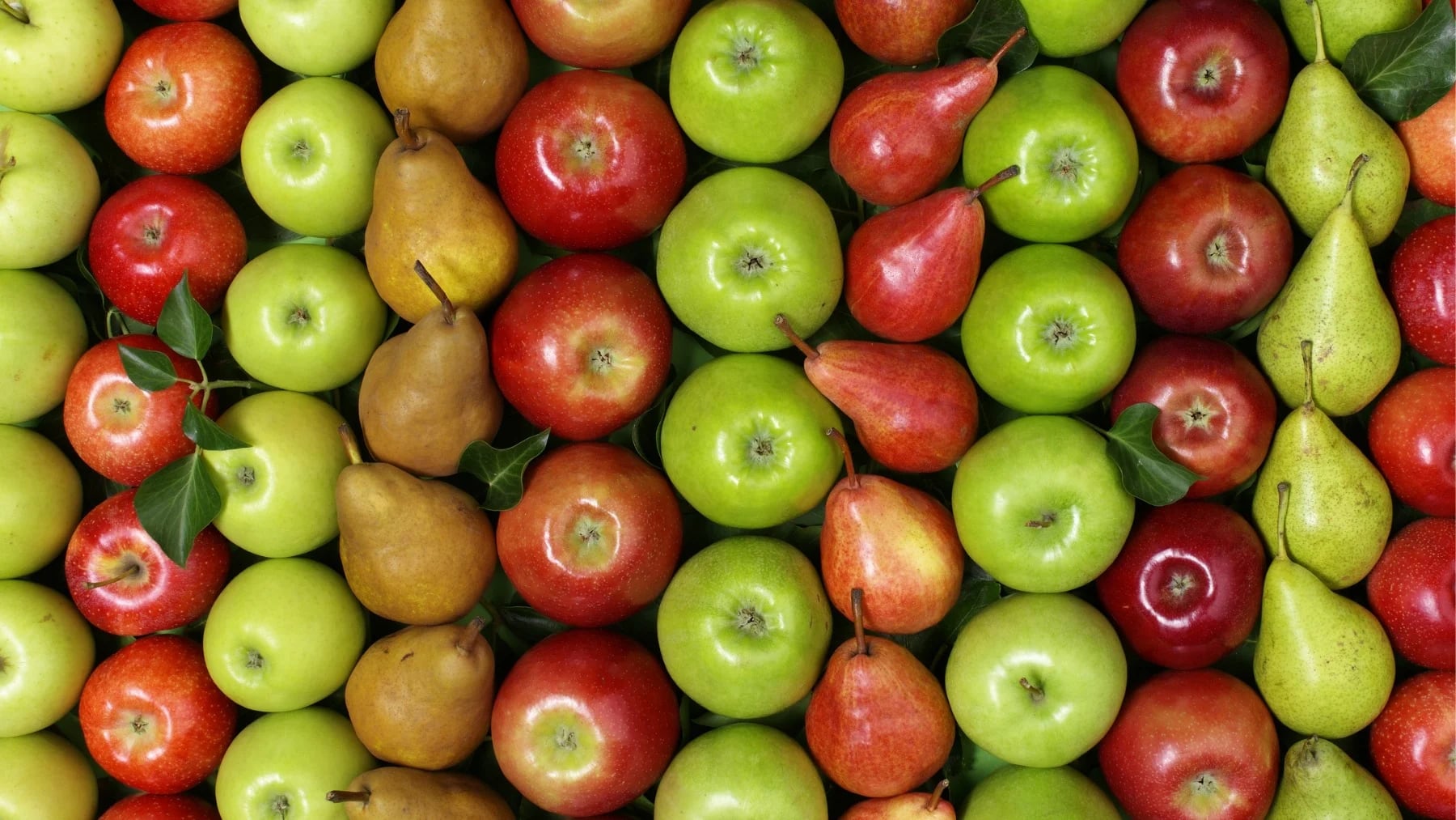 Crisis en Argentina y récords en Nueva Zelanda: el contraste en las ventas de manzanas y peras