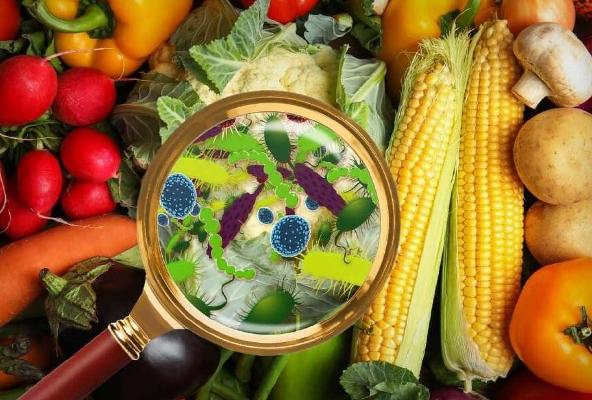 Alimentos contaminados: los riesgos invisibles en la mesa y cómo evitarlos