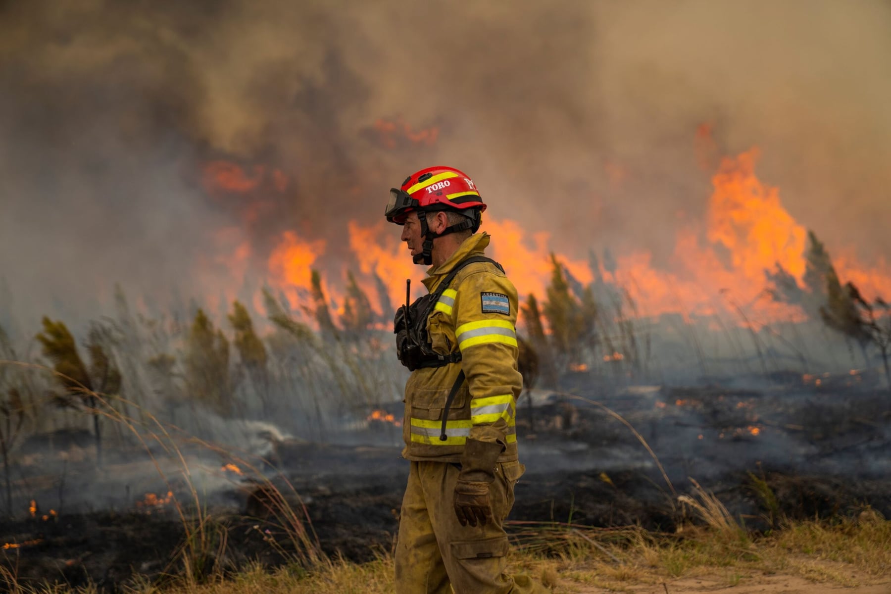 Récord histórico de incendios forestales en Neuquén: «Nunca se vio en la provincia»