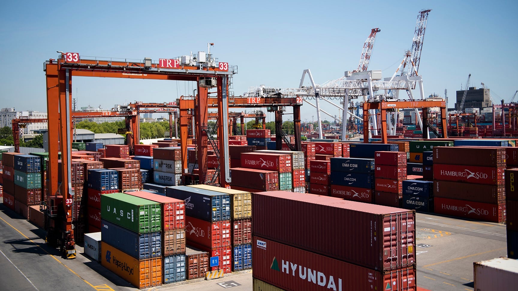 La mayoría de los complejos exportadores argentinos cerró 2024 con balance positivo