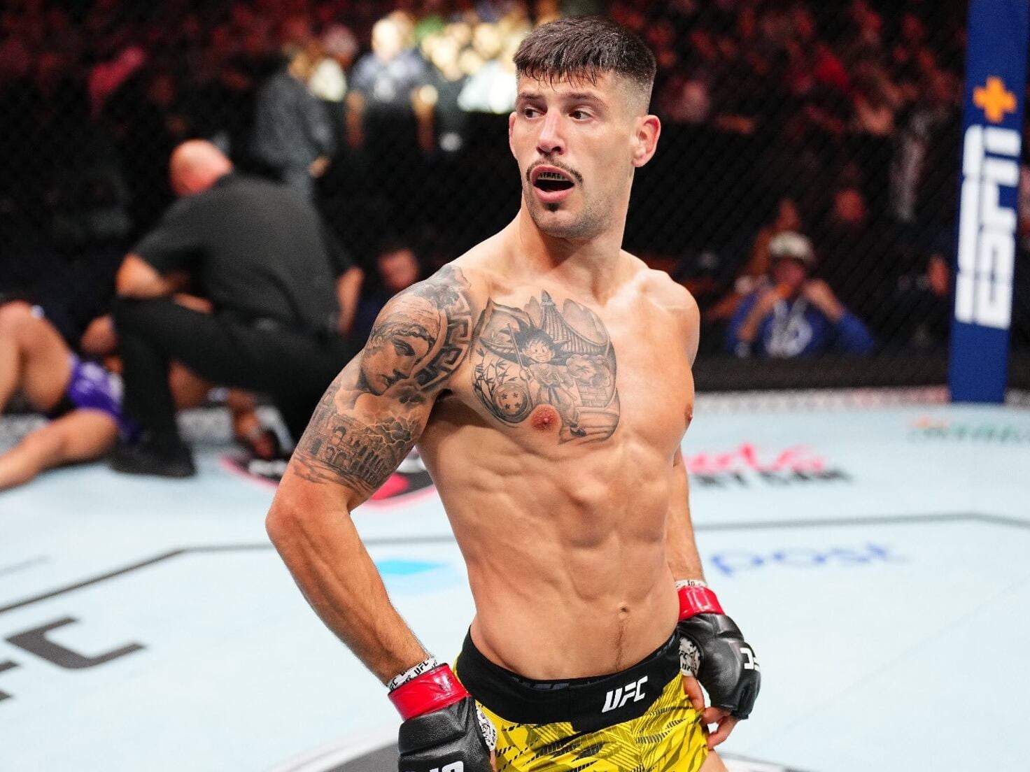 Un brutal KO de Joel Álvarez para cerrar el mejor año de las MMA españolas