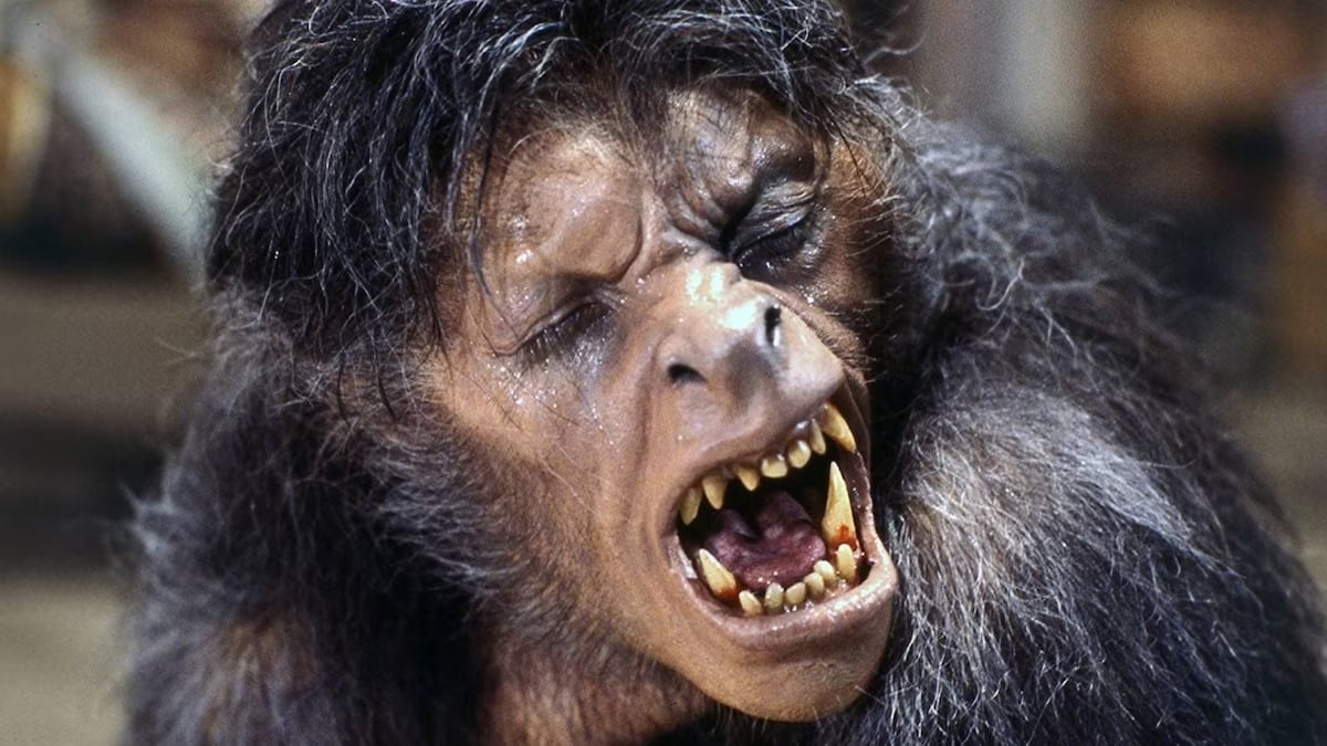 ‘Aullidos’, ‘Feroz’ y más: grandes películas con hombres lobo para amantes del terror