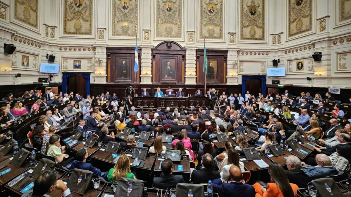 PASO en pausa: el Senado de la provincia avanza con su suspensión y sin comicios simultáneos