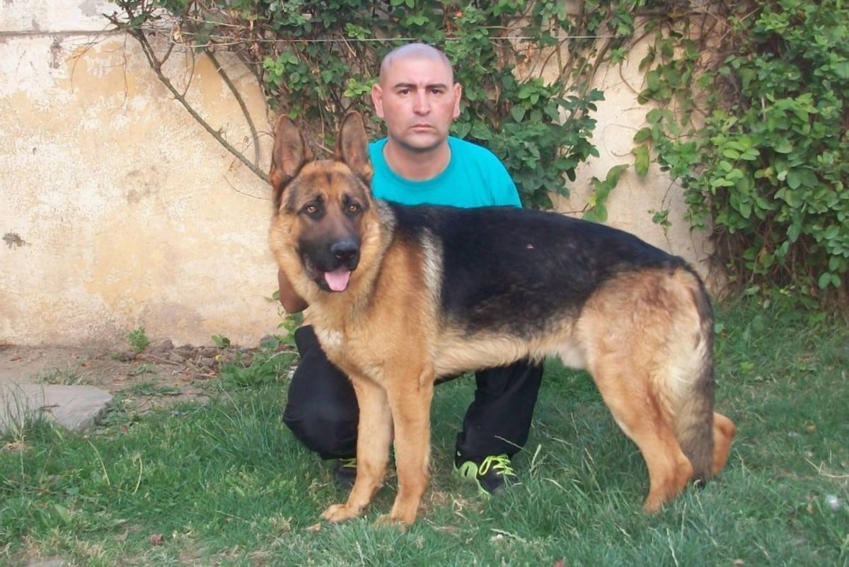Instructor de perros condenado a 7 años por falsear pruebas en la causa Astudillo Castro