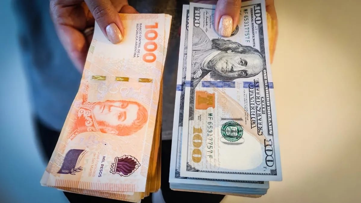 Dólar flotante: qué va a pasar con el tipo de cambio según analistas, bancos y consultoras